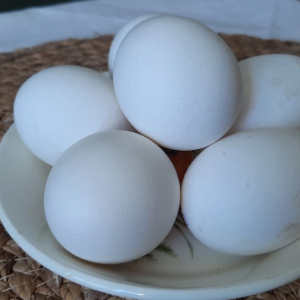 Почему нельзя класть яйца после варки в холодную воду. Запомните раз и навсегда